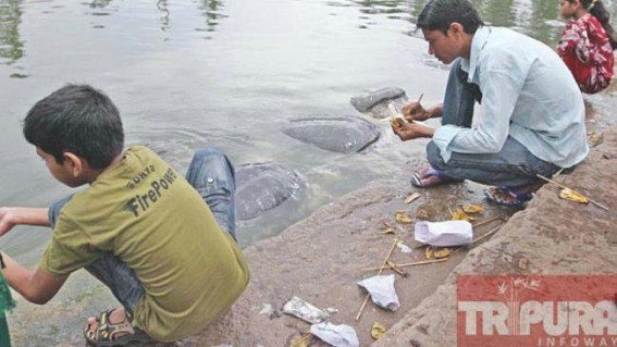 Rare Bostami turtle: Hygiene maintained well for the preservation of the turtle, DFO Dr. W. Bhutiya talks to TIWN Rare Bostami turtle: Hygiene maintained well for the preservation of the turtle, DFO Dr. W. Bhutiya talks to TIWN